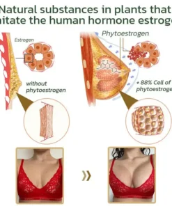 𝑨𝒏𝒏𝒊𝒆𝑪𝒂𝒓𝒆®𝑷𝒖𝒆𝒓𝒂𝒓𝒊𝒂 𝑴𝒊𝒓𝒊𝒇𝒊𝒄𝒂 𝑷𝒂𝒑𝒂𝒚𝒂 𝑵𝒂𝒕𝒖𝒓𝒂𝒍 𝑺𝒖𝒑𝒑𝒍𝒆𝒎𝒆𝒏𝒕