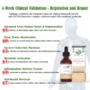 AnnieCare® PRO Natural Herbal Visceral Health Restoration Tincture-𝐏𝐨𝐰𝐞𝐫𝐟𝐮𝐥 𝐕𝐢𝐬𝐜𝐞𝐫𝐚𝐥 𝐒𝐮𝐩𝐩𝐨𝐫𝐭-𝐃𝐞𝐭𝐨𝐱 & 𝐑𝐞𝐩𝐚𝐢𝐫-𝐋𝐨𝐰𝐞𝐫 𝐁𝐥𝐨𝐨𝐝 𝐒𝐮𝐠𝐚𝐫 & 𝐋𝐢𝐩𝐢𝐝𝐬-𝐇𝐢𝐠𝐡-𝐄𝐟𝐟𝐢𝐜𝐢𝐞𝐧𝐜