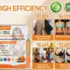 AnnieCare® Pueraria Mirifica Papaya Breast Enhancement Oral Solution